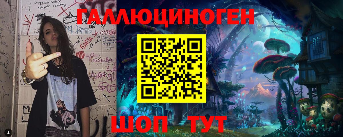Псилоцибиновые грибы Psilocybine cubensis Коммунар